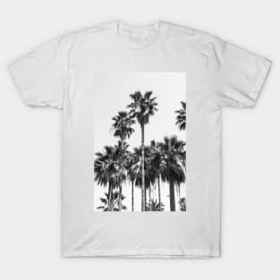 Sabal Palmetto Palm Trees II T-Shirt